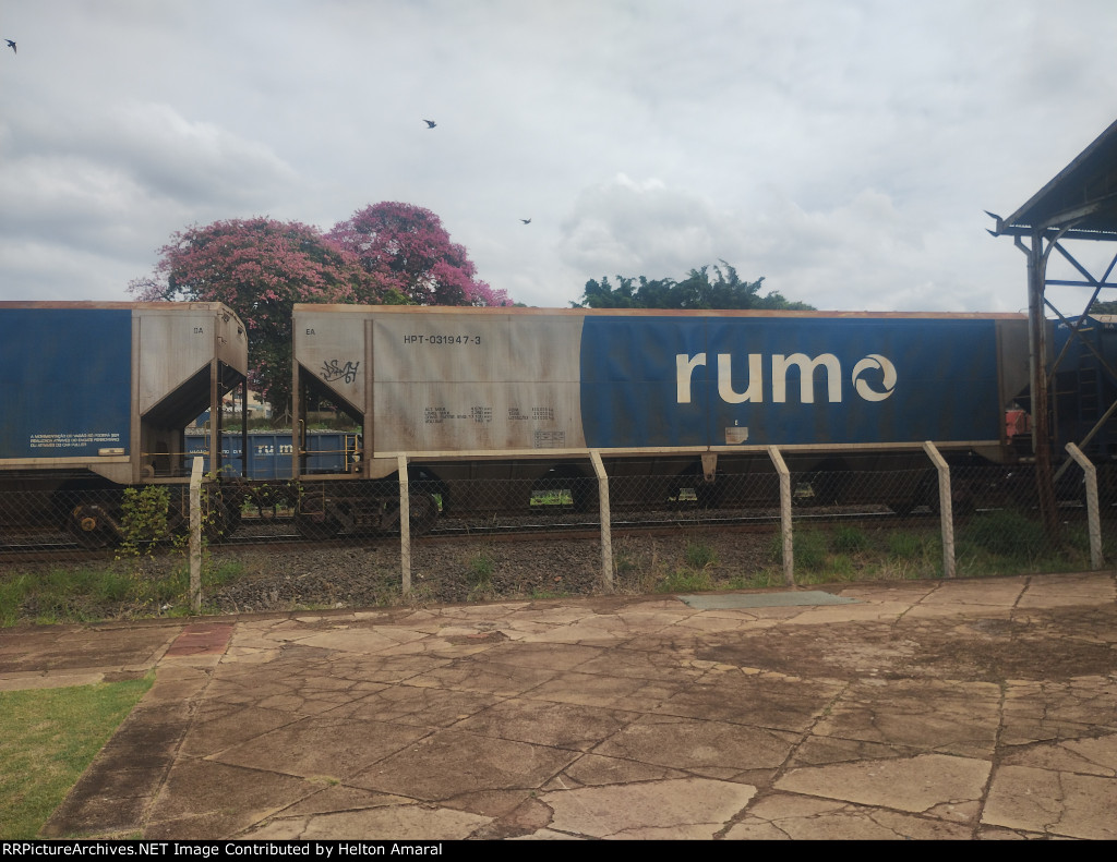 RUMO HPT-031947-3